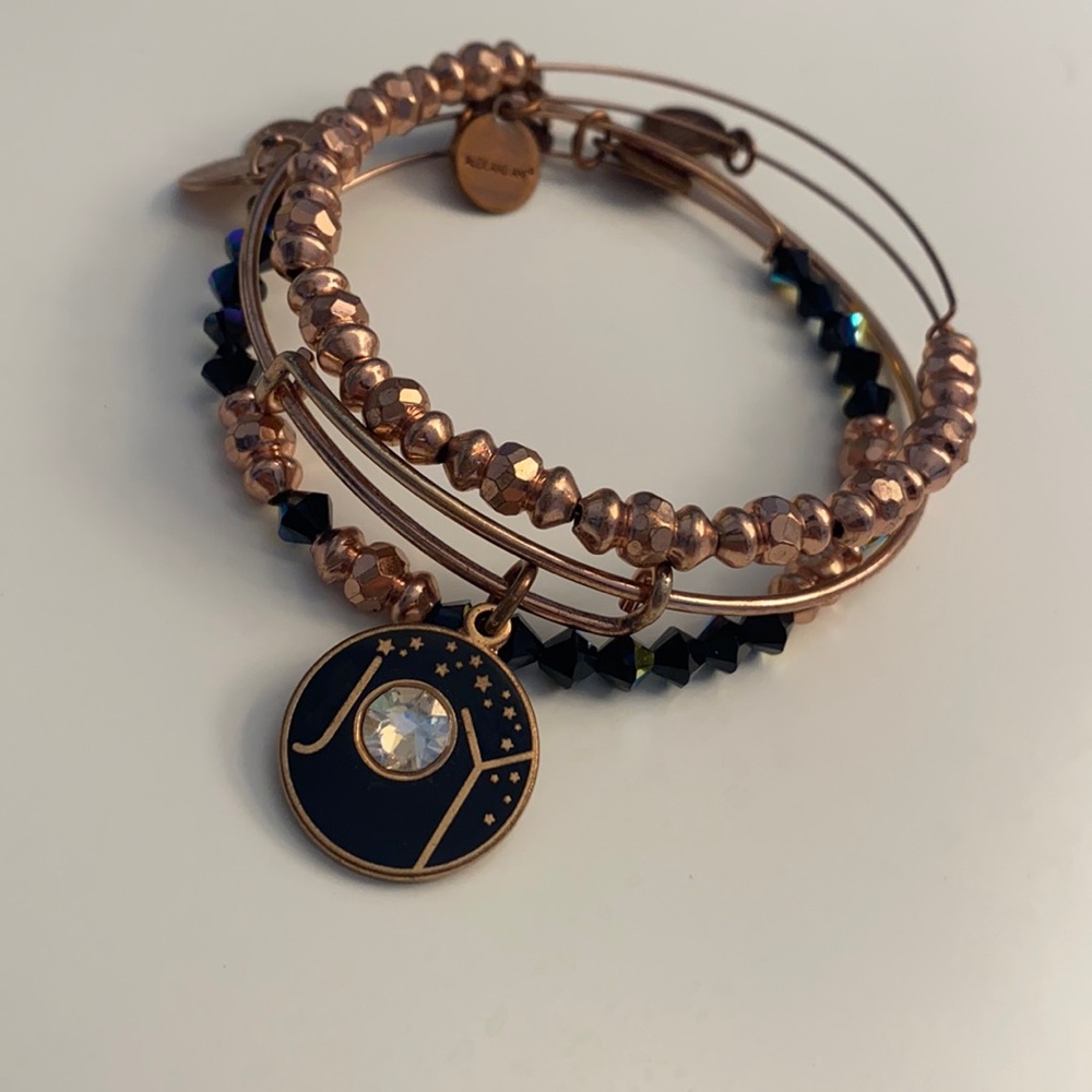 Alex and Ani Joy Collection Set of 3 Bracelets